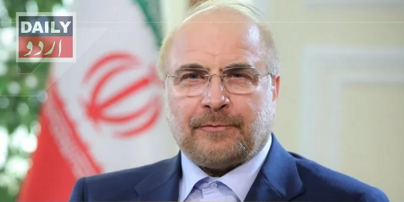 سیاست