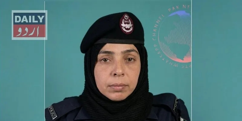دہشتگردی