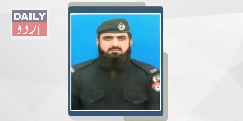 دہشتگردی