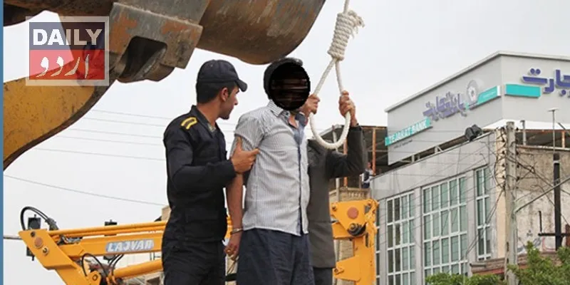 سیاست