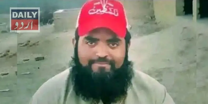 سیاست