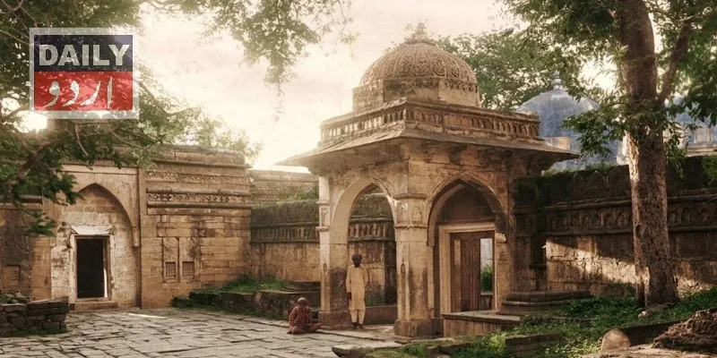 کورٹس