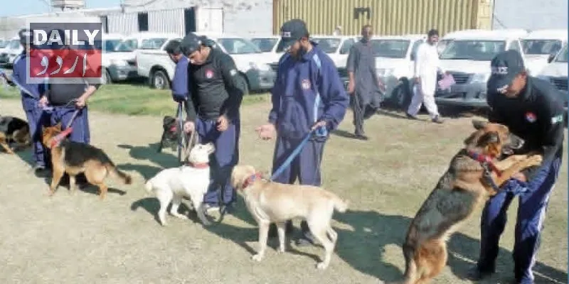 پاکستان
