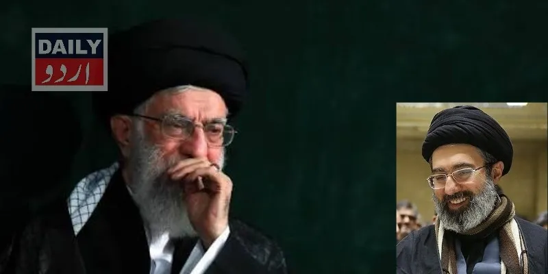 سیاست