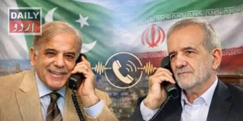 سیاست