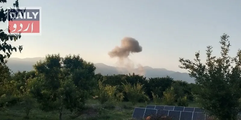 دہشتگردی
