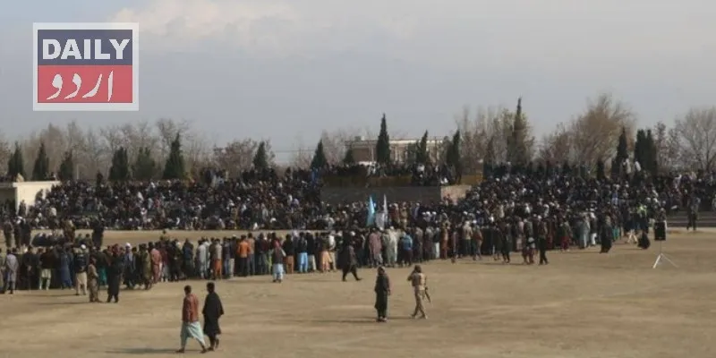 کرائمز