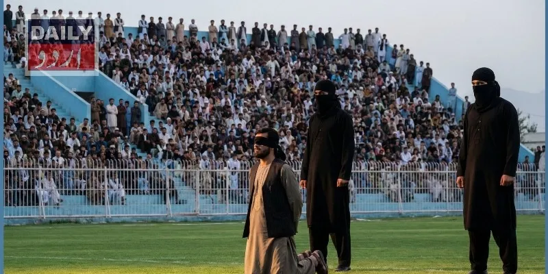 کالمز