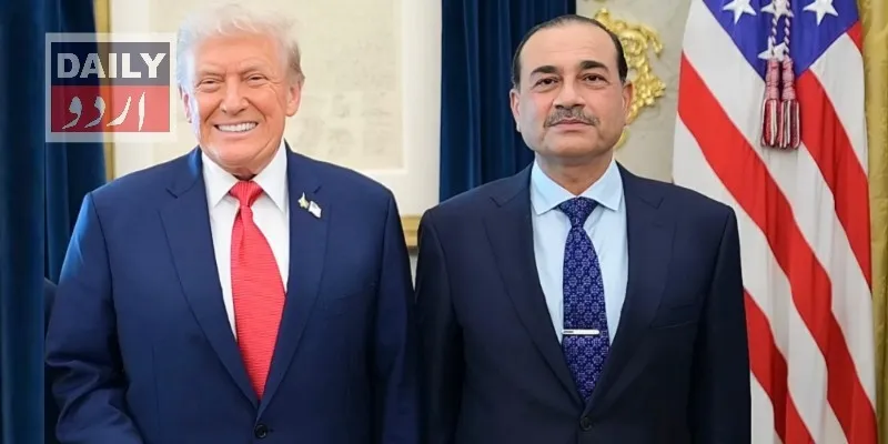 سیاست