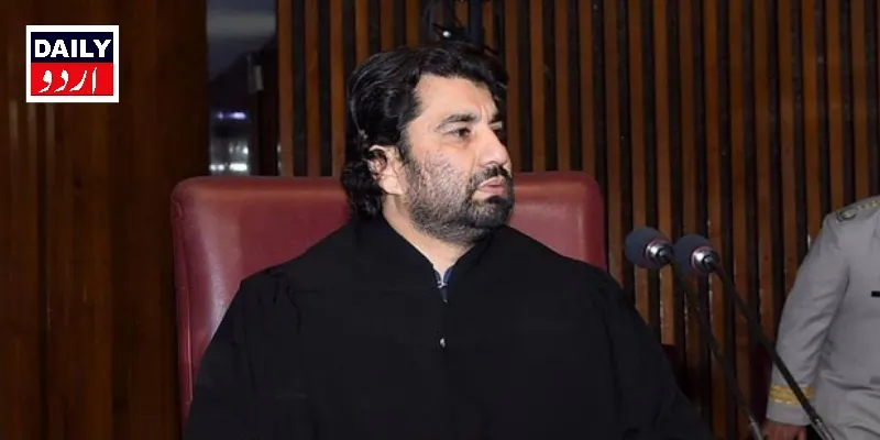 سیاست
