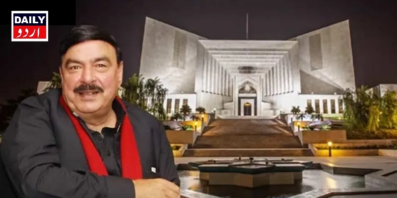 سیاست