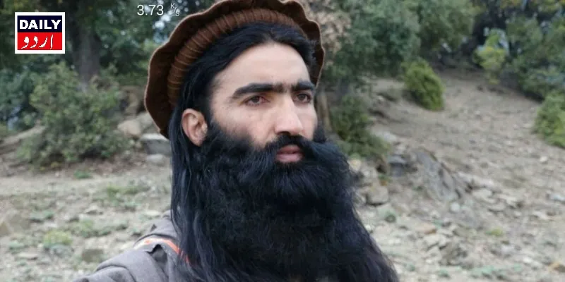 اہم خبریں