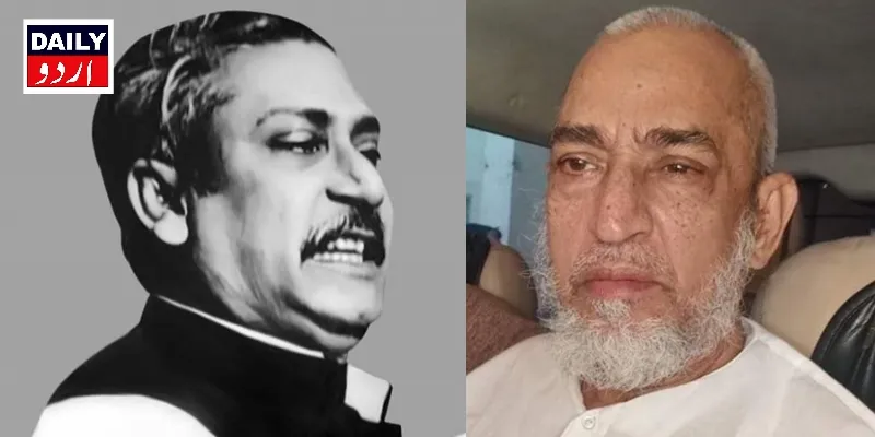 سیاست