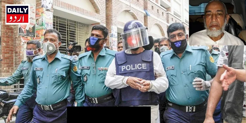 سیاست