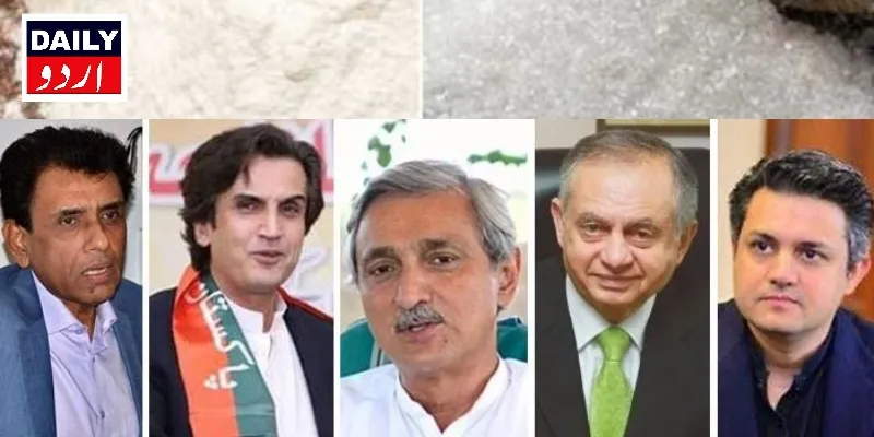 سیاست