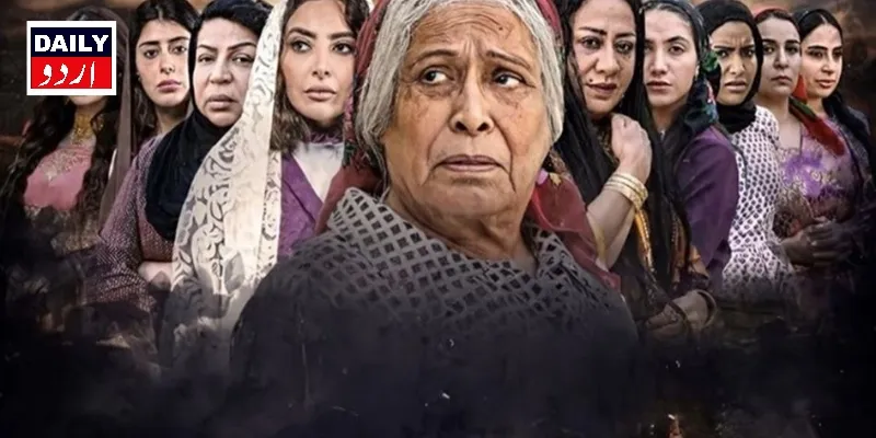سیاست