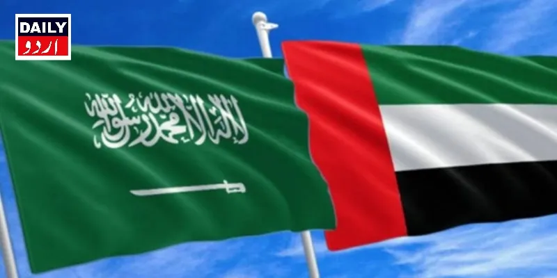 سیاست