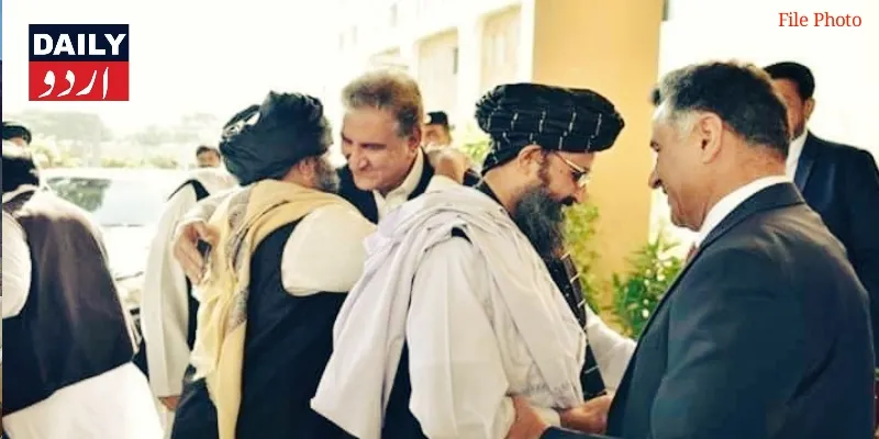 سیاست