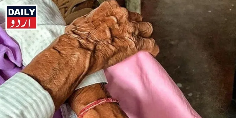 اہم خبریں