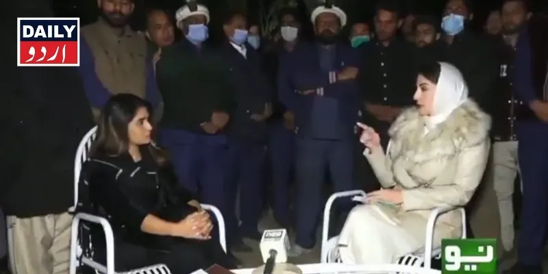 سیاست