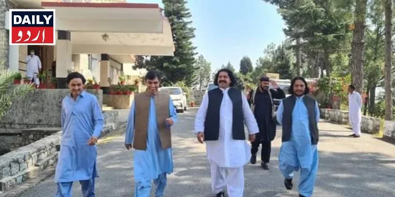 سیاست