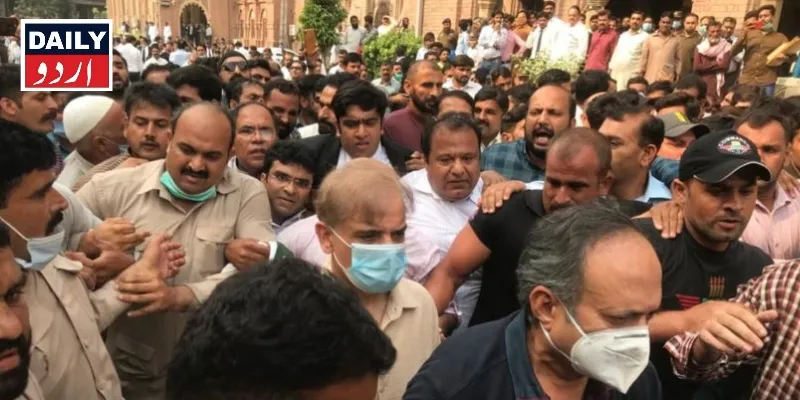 سیاست