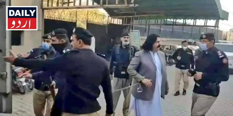 سیاست