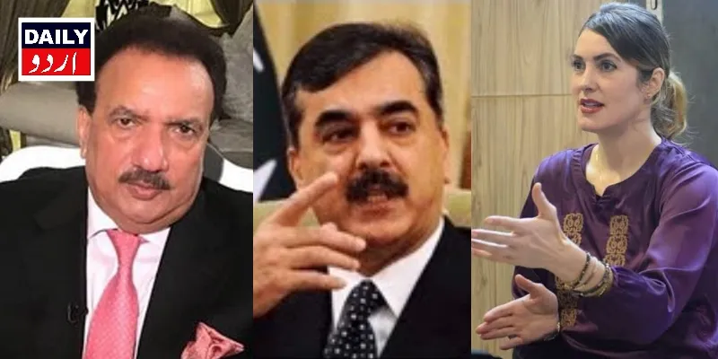 سیاست