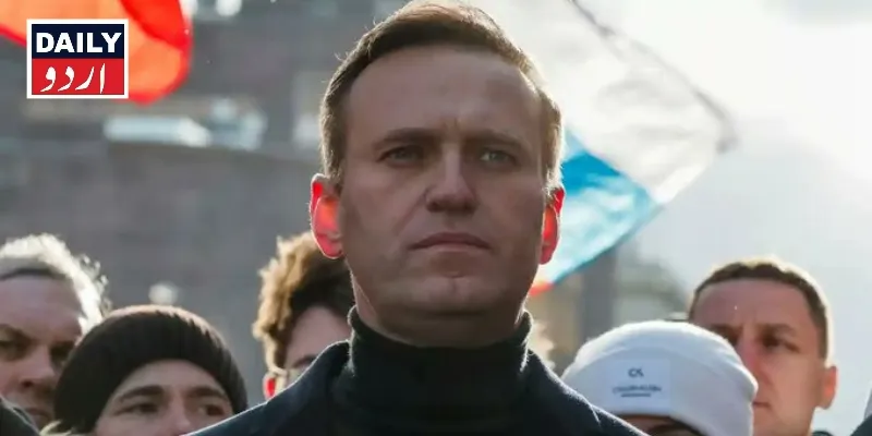 سیاست