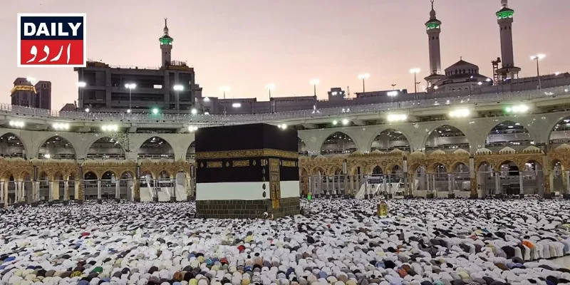 سیاست