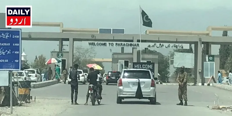سیاست