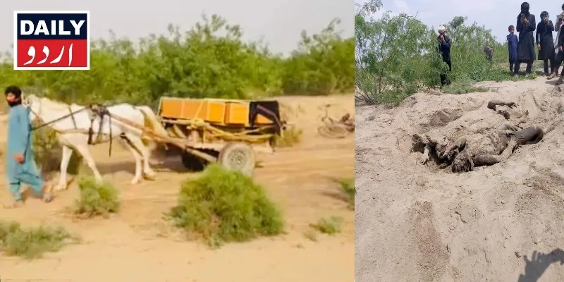 پاکستان