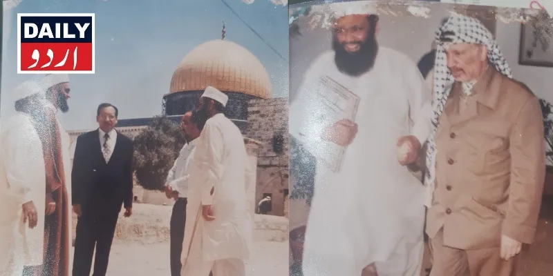 سیاست