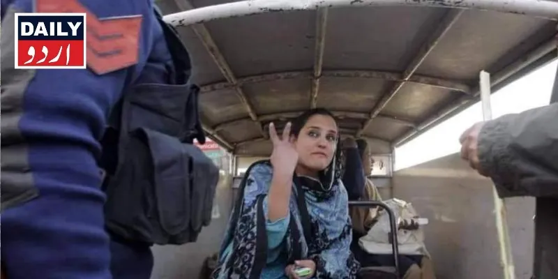 سیاست