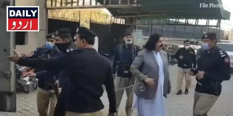 سیاست