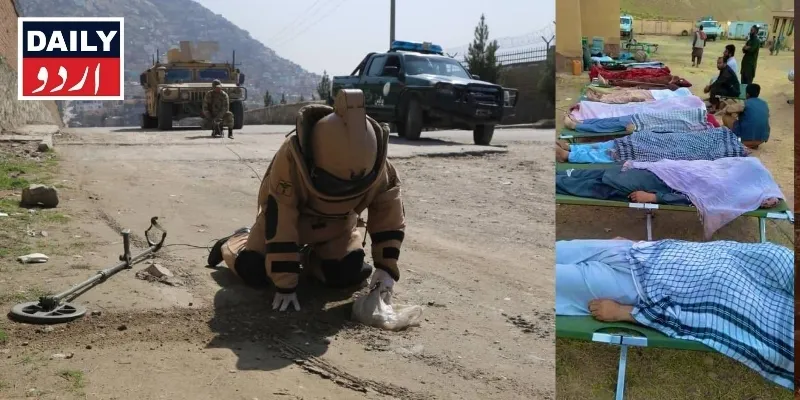 اہم خبریں