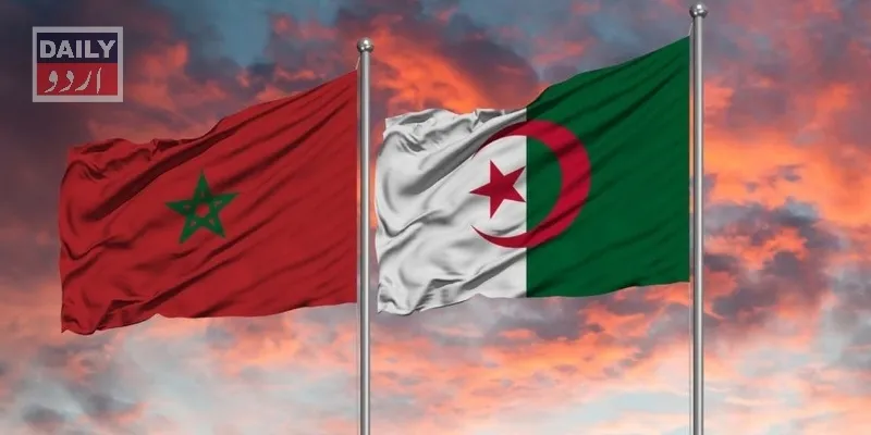 سیاست