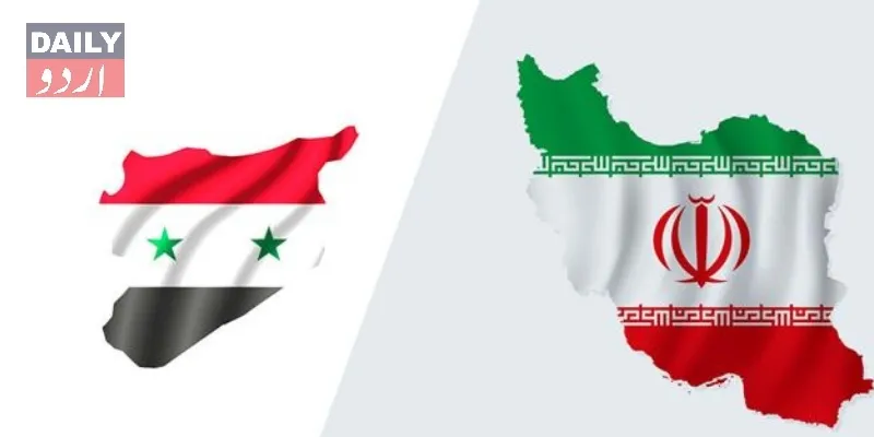 سیاست
