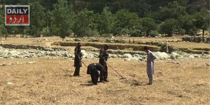 پاکستان