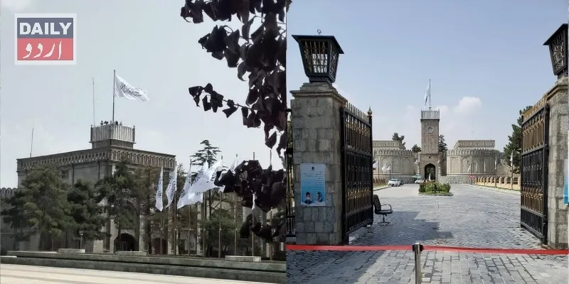 سیاست