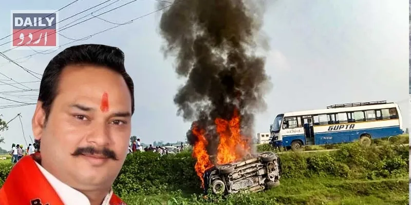 سیاست