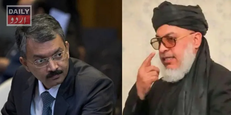 سیاست