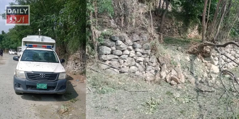 پاکستان
