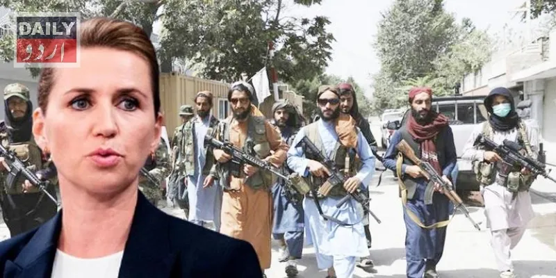 سیاست