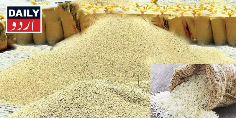 پاکستان