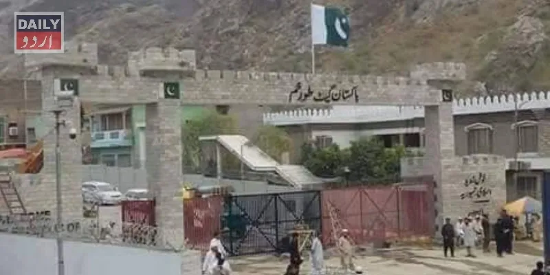 سیاست