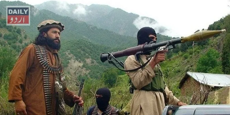 سیاست