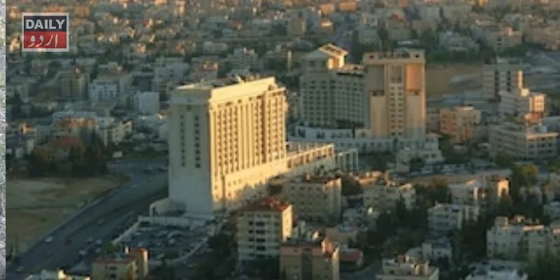 سیاست