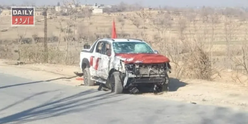 سیاست