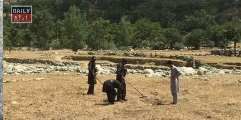 پاکستان